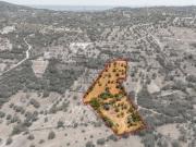 Terrenos Faro Algarve DS93145674