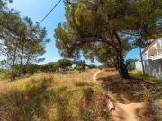 Terrenos Faro Faro 8005 213 DS91508384