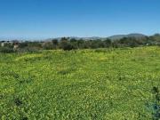 Terrenos Faro Faro 8005 446 DS97108100