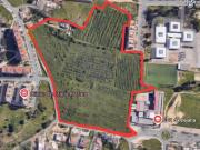 Terrenos Faro Faro DS88464843