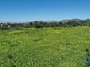 Terrenos Faro Faro DS91854444