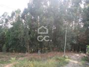 Terrenos Felgueiras Porto DS44415283