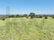 Terrenos Ferreira do Alentejo Ferreira do Alentejo...