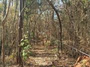 Terrenos Financiados a 10 km de Lagoa Santa/MG
