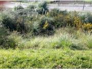 Terrenos Gondomar Gondomar DS93606992