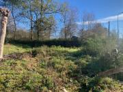 Terrenos Individuais Palmeira Braga!