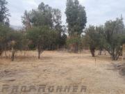 Terrenos Inscritos en CBR Oportunidad de inversión