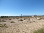 Terrenos La Marina Alicante 81031500