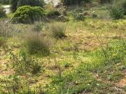 Terrenos Lagos Algarve DS42593286