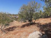 Terrenos Lagos Algarve DS55314294