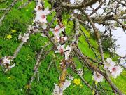 Terrenos Lagos Algarve DS65181331