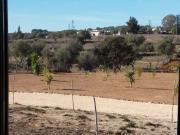 Terrenos Lagos Algarve DS85572254
