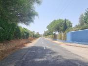 Terrenos Lagos Algarve DS94714829