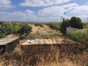 Terrenos Lagos Algarve DS96931400