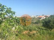 Terrenos Lagos Faro DS82444608
