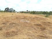 Terrenos Lagos Lagos DS100142594