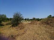 Terrenos Lagos Lagos DS100142605