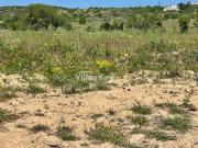 Terrenos Lagos Lagos DS91590153