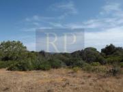 Terrenos Lagos Lagos DS97121925