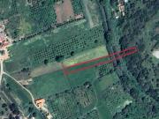 Terrenos Lagos Lagos DS97513521