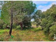 Terrenos Lagos Lagos DS98492147