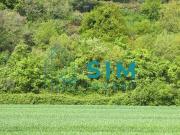 Terrenos Leiria Alcobaça 2460 DS98330860