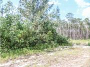 TERRENOS _ LEIRIA | LEILÃO ELECTRÓNICO | FIM 14*NOV