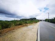 Terrenos Leiria Leiria 2400 016 DS91615442