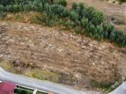 Terrenos Leiria Leiria 2415 558 DS95928773