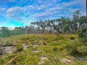 Terrenos Leiria Leiria 2425 268 DS90359848