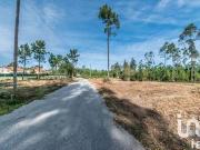 Terrenos Leiria Leiria 2425 611 DS95684270
