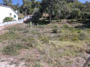 Terrenos Leiria Leiria DLS86086789