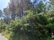 Terrenos Leiria Leiria DS100398076