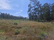 Terrenos Leiria Leiria DS90670344 Terrenos Leiria Leiria DS90670344