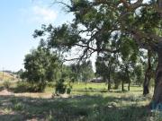 Terrenos Leiria Leiria DS92947649 Terrenos Leiria Leiria DS92947649