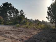 Terrenos Leiria Leiria DS95880042