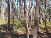 Terrenos Leiria Leiria DS97028177