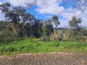 Terrenos Leiria Leiria DS99193061