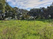 Terrenos Leiria Óbidos 2510 DS99461489