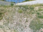 Terrenos Lisboa Lisboa DS98376186