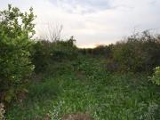 Terrenos Los Ramos Murcia 78213440