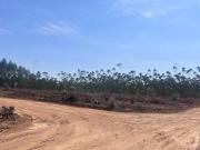 TERRENOS / LOTES 1.000M² LIBERADO PARA CONSTRIR FECHADO...