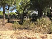 Terrenos Loulé Algarve DS71057217