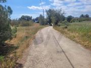 Terrenos Loulé Algarve DS90745042
