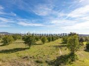 Terrenos Loule Faro DS67105141