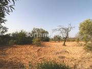 Terrenos Loule Faro DS67105314