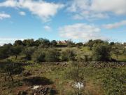 Terrenos Loulé Loulé DS89911772