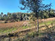 Terrenos Lousada Porto DS72086317
