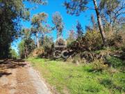 Terrenos Lousada Porto DS72778861