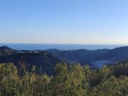 Terrenos Málaga Andalusia 95261957